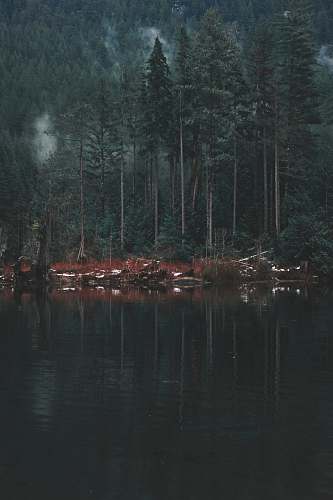 landscape photographer forest and lake during daytime in landscape photography outdoor adventure